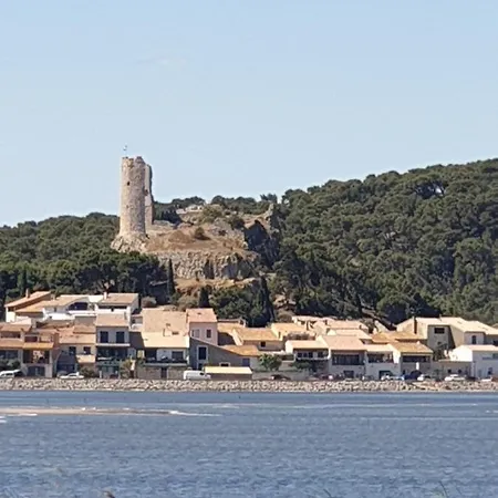Typique 50 M De La * Gruissan
